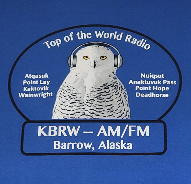 Snowy Owl with Headphones T-Shirt