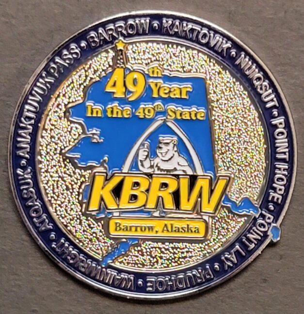 49th Year Lapel Pin